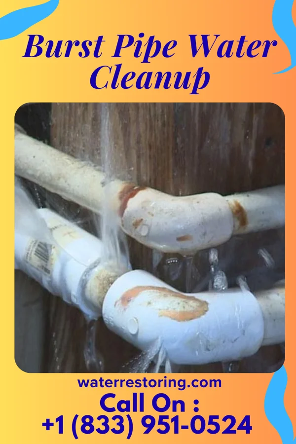 Burst Pipe Water Cleanup in Bulls Gap, TN