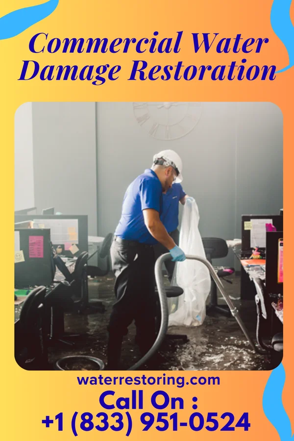 Commercial Water Damage Restoration in Bulls Gap, TN