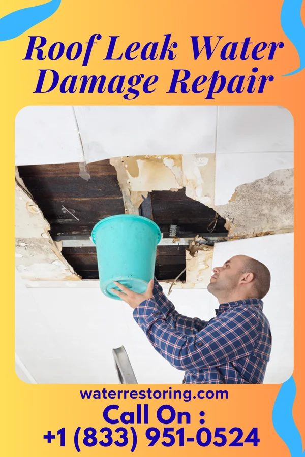 Roof Leak Water Damage Repair in Bulls Gap, TN